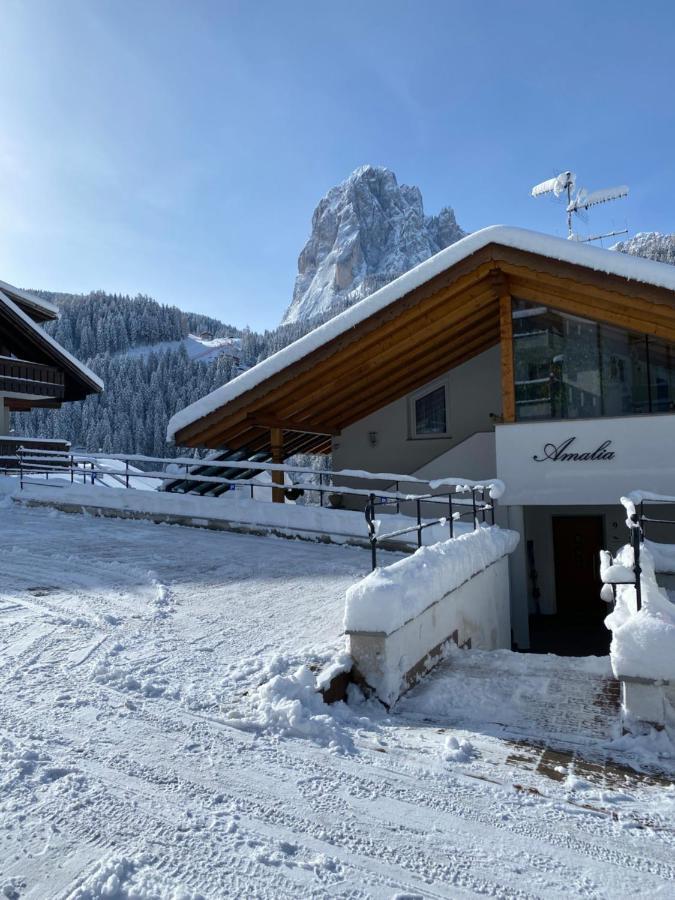Amalia Apartment Santa Cristina Val Gardena Экстерьер фото